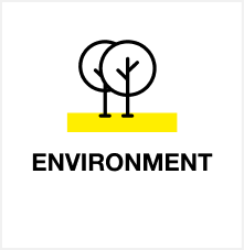 Frame 246-2 Environment Icon
