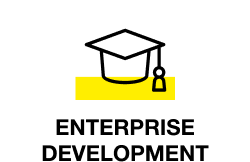 Enterprise Development Icon