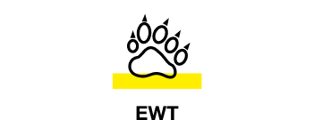 Frame 290-5 EWT Icon