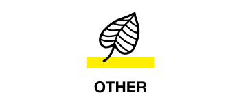 Frame 291-4 Other Icon